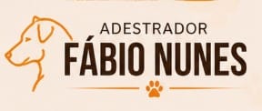 Cliente Dourado 2026